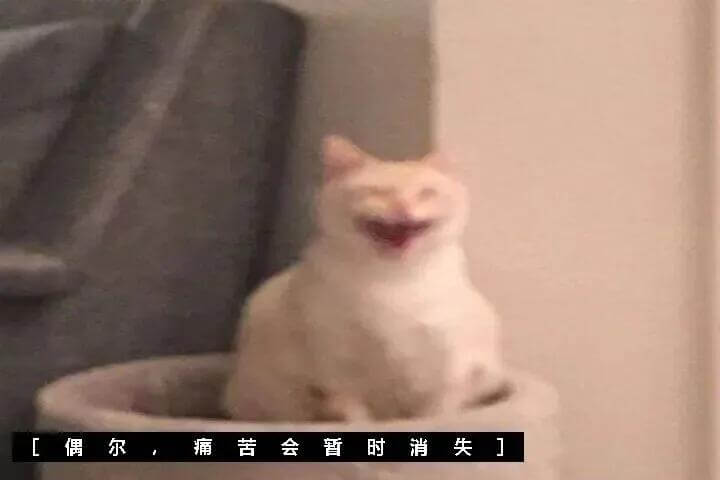 ［偶尔痛苦会暂时消失］