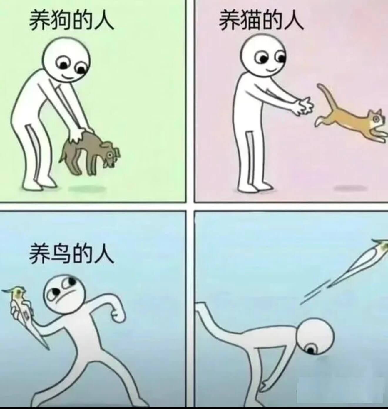 养狗的人养猫的人养鸟的人