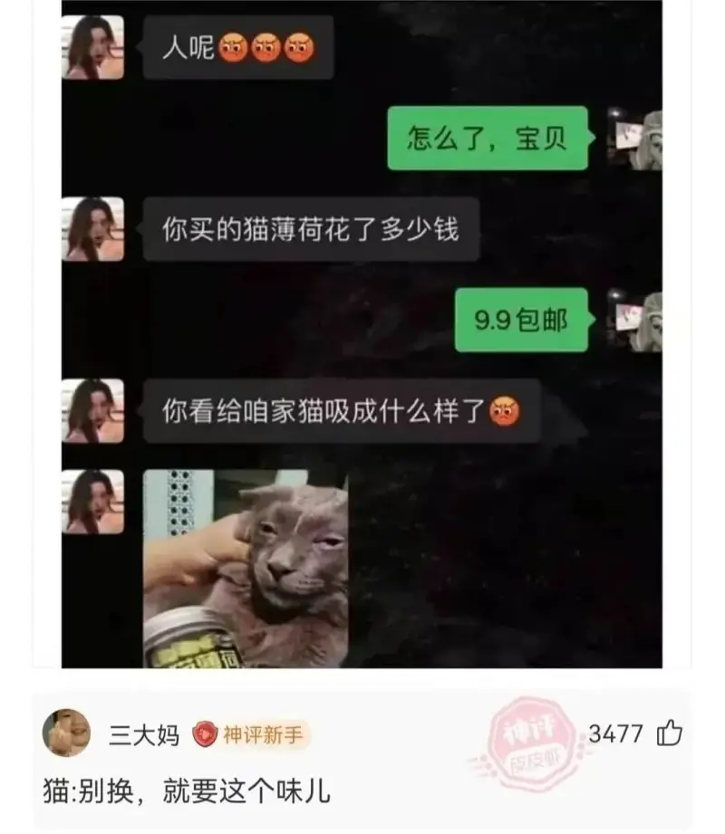 怎么了，宝贝你买的猫薄荷花了多少钱9.9包邮你看给咱家猫吸成