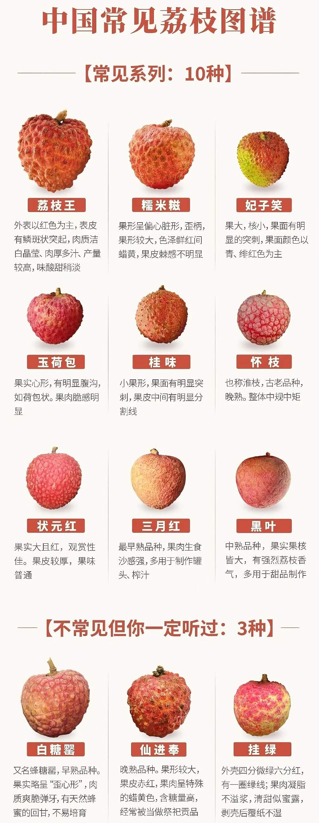 中国常见荔枝图谱【常见系列：10种】荔枝王糯米糍妃子笑外表以