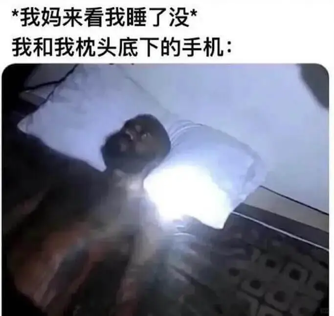 我妈来看我睡了没我和我枕头底下的手机：