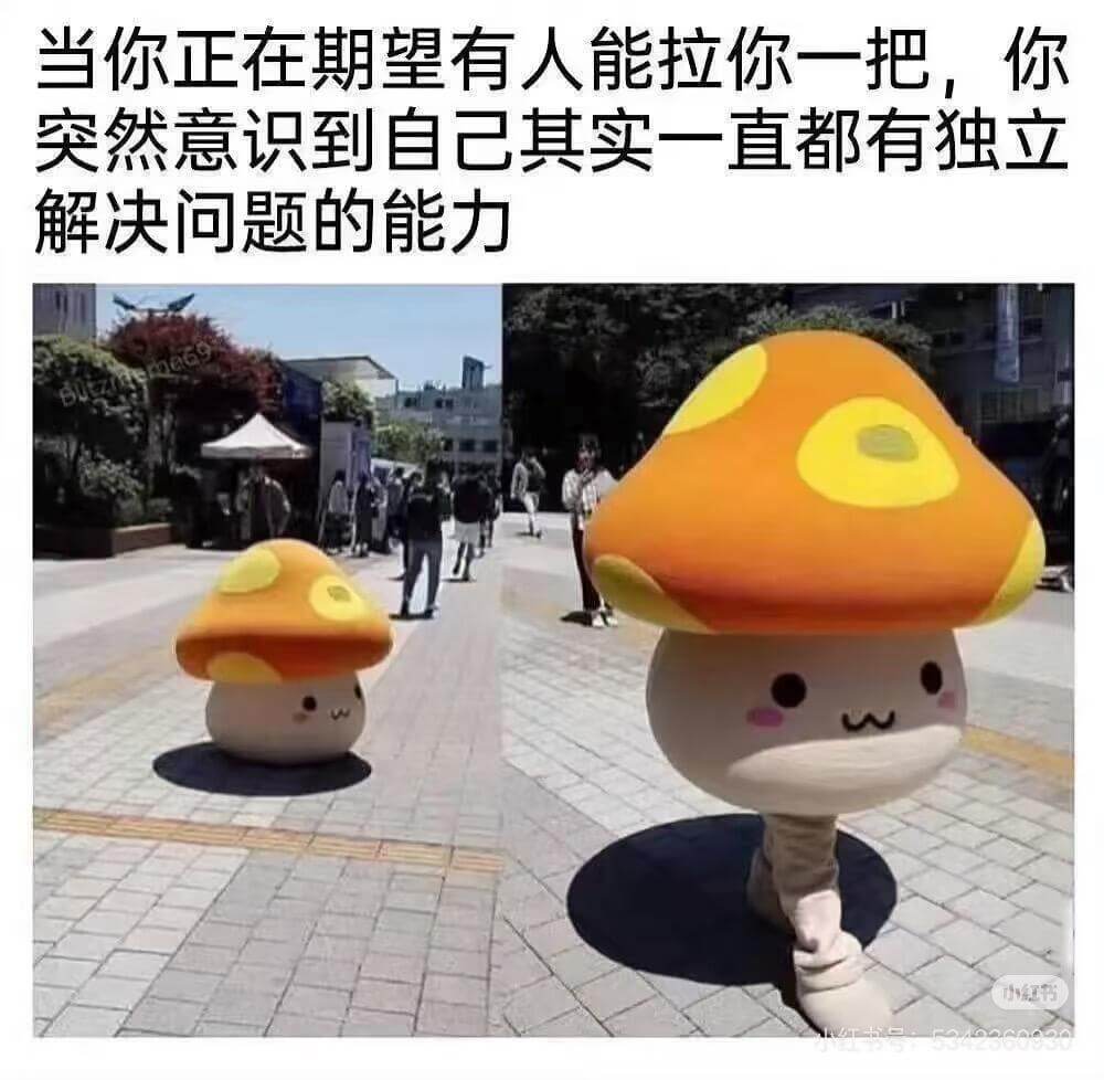 当你正在期望有人能拉你一把，你突然意识到自己其实一直都有独立