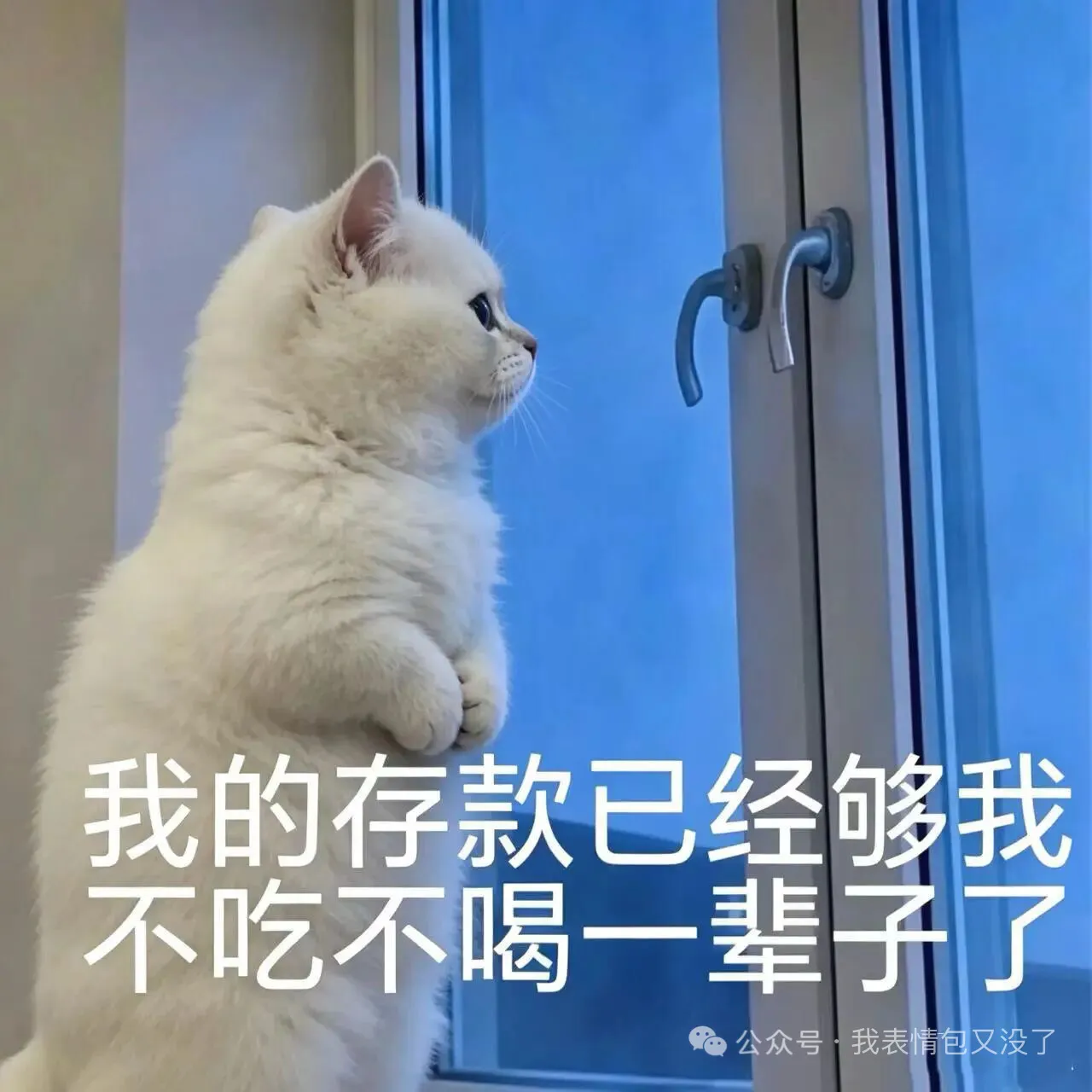 梗图