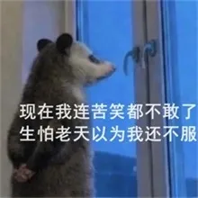 现在我连苦笑都不敢了，生怕老天以为我还不服。