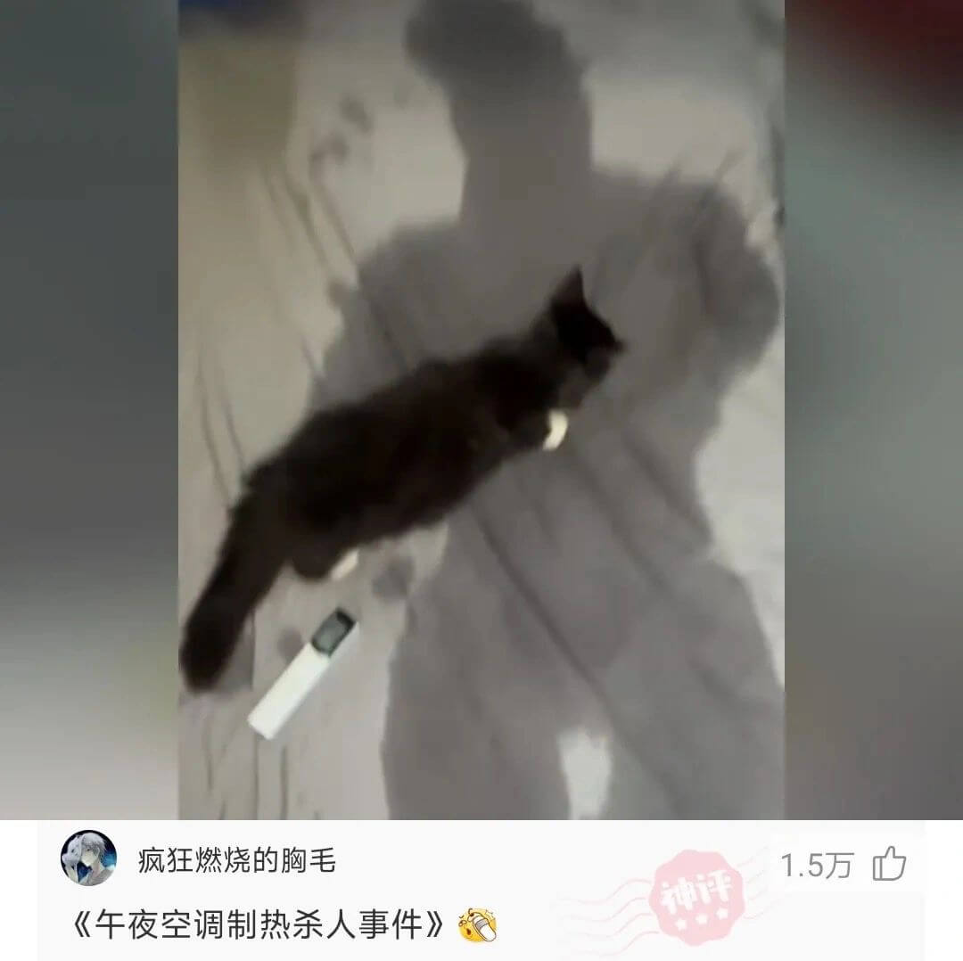 疯狂燃烧的胸毛1.5万《午夜空调制热杀人事件》