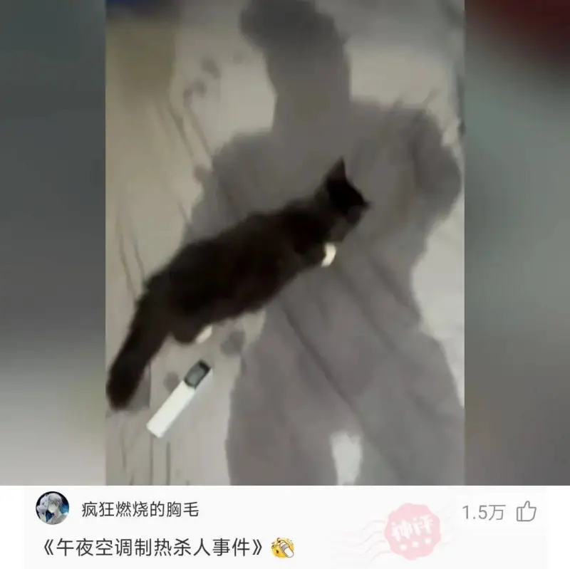 疯狂燃烧的胸毛1.5万《午夜空调制热杀人事件》