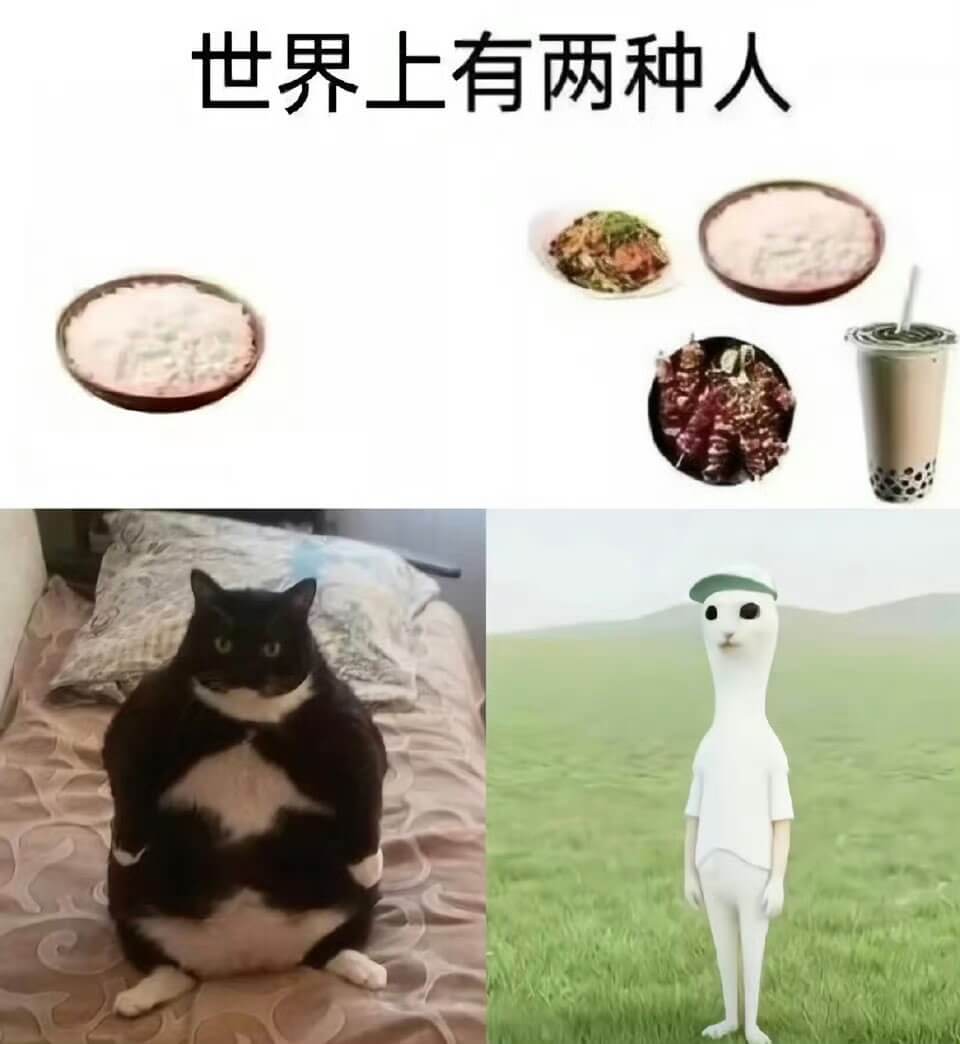 世界上有两种人