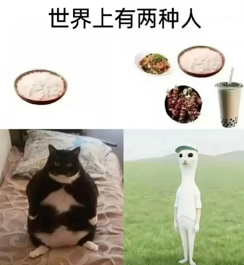 世界上有两种人