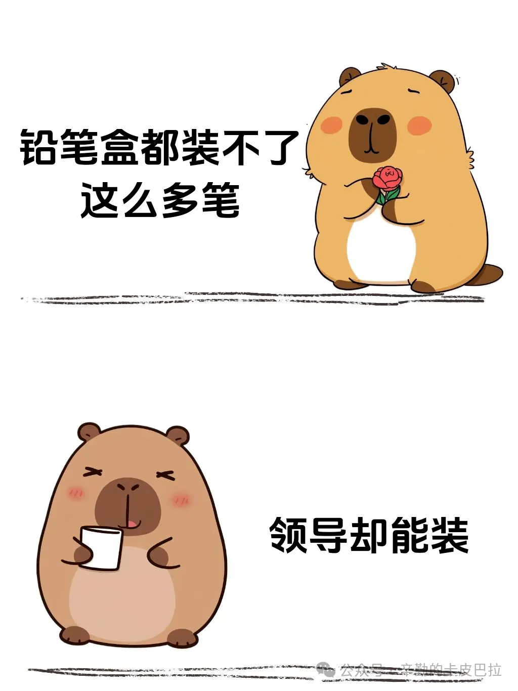 铅笔盒都装不了这么多笔，领导却能装。