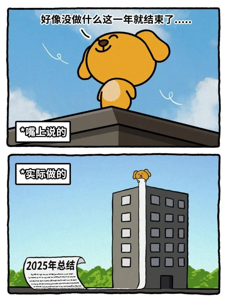 好像没做什么这一年就结束了………*嘴上说的★实际做的2025