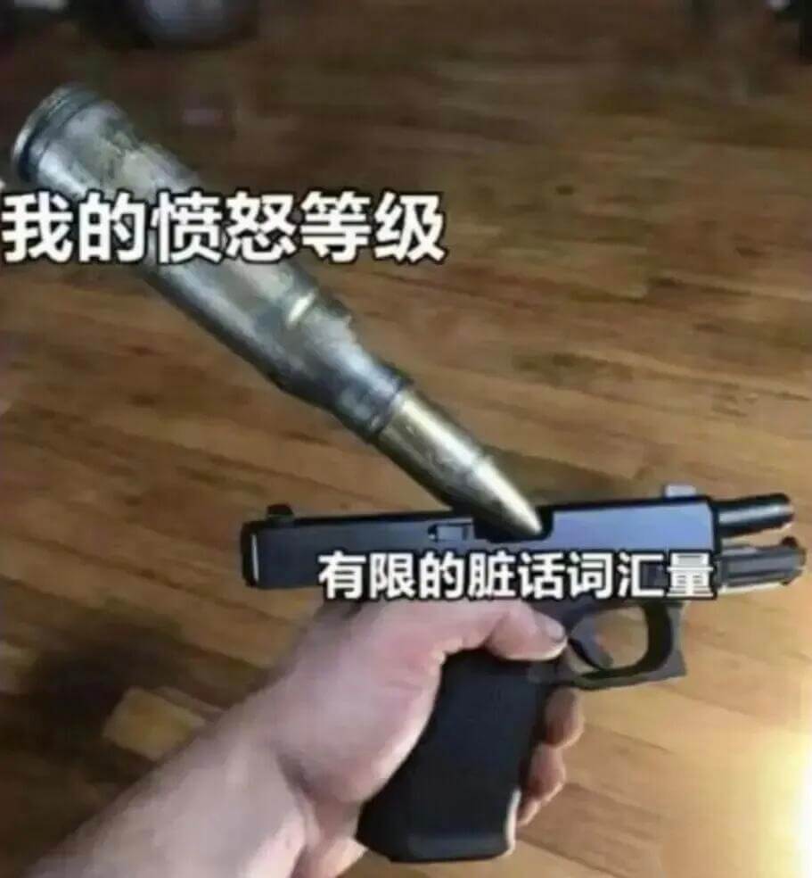 我的愤怒等级有限的脏话词汇量