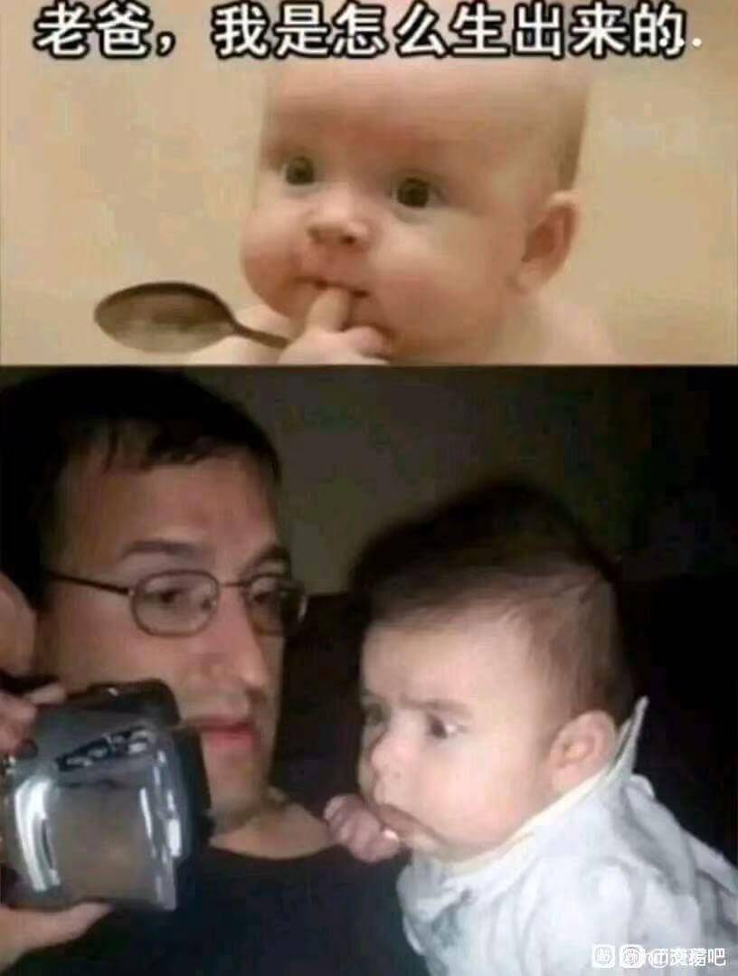 老爸，我是怎么生出来的