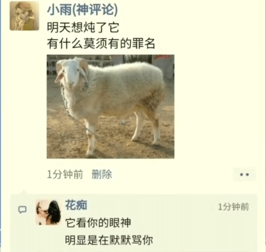 小雨（神评论）明天想炖了它有什么莫须有的罪名花痴它看你的眼神