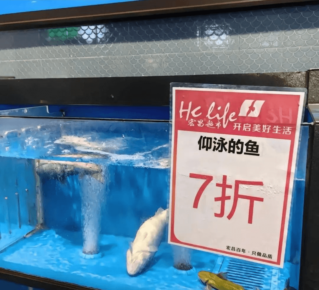 HelieSH宏昌超市开启美好生活仰泳的鱼7折宏昌百年·只做