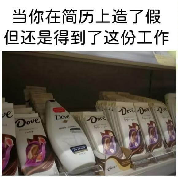 当你在简历上造了假但还是得到了这份工作DoveDoveDov