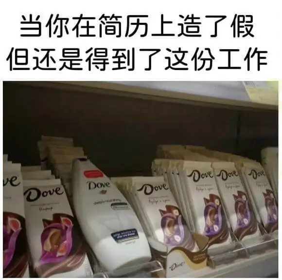 当你在简历上造了假但还是得到了这份工作DoveDoveDov