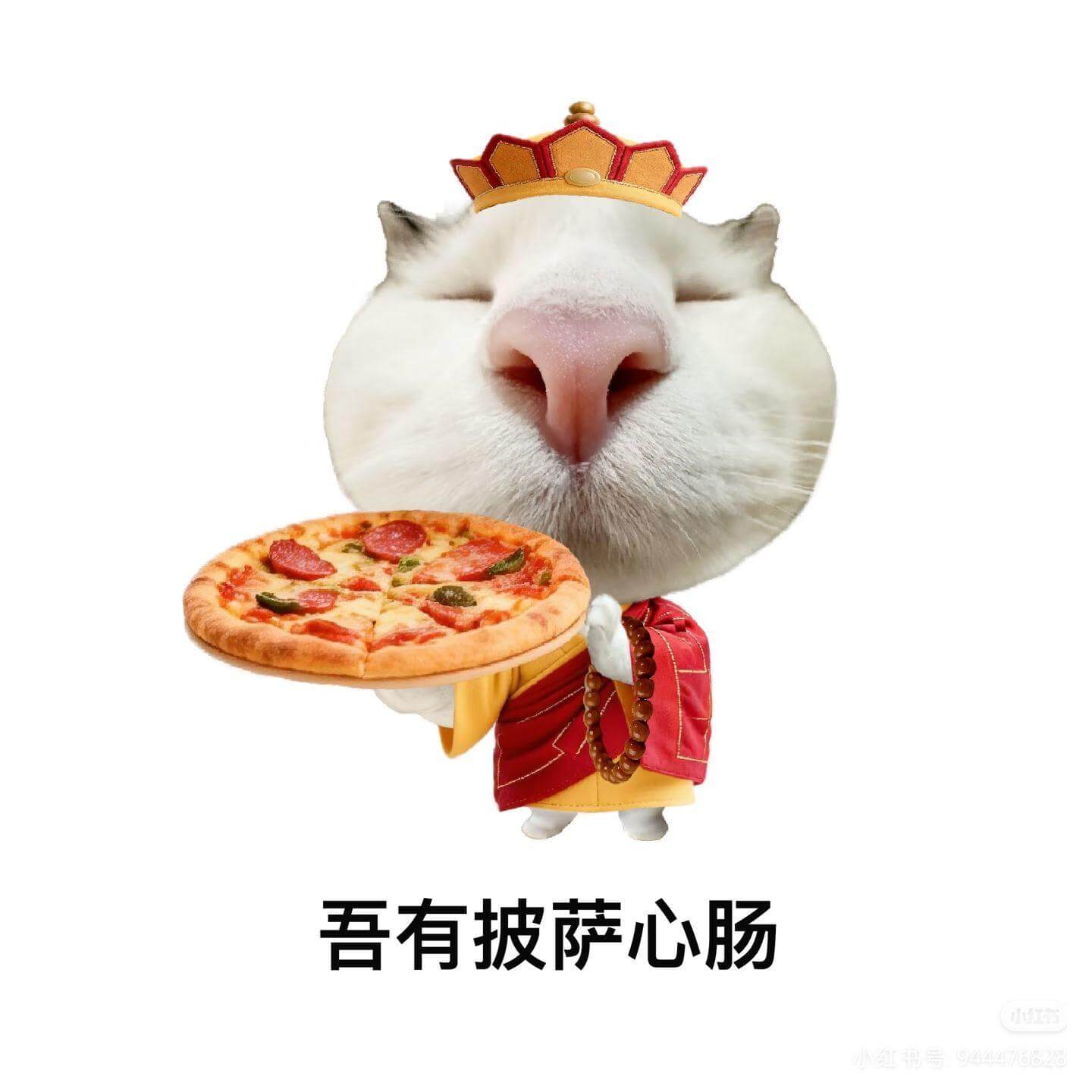 吾有披萨心肠红书号：944476828
