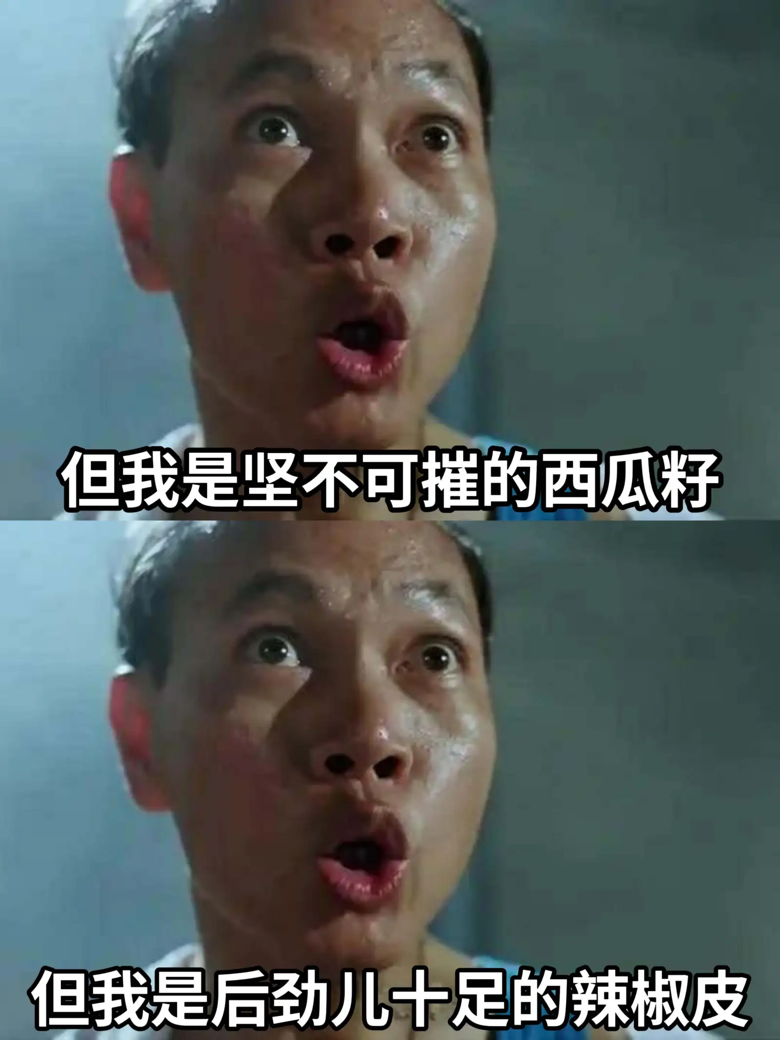 但我是坚不可摧的西瓜籽。但我是后劲儿十足的辣椒皮。