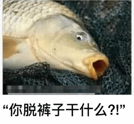 “你脱裤子干什么？！