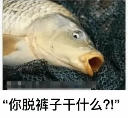 “你脱裤子干什么？！