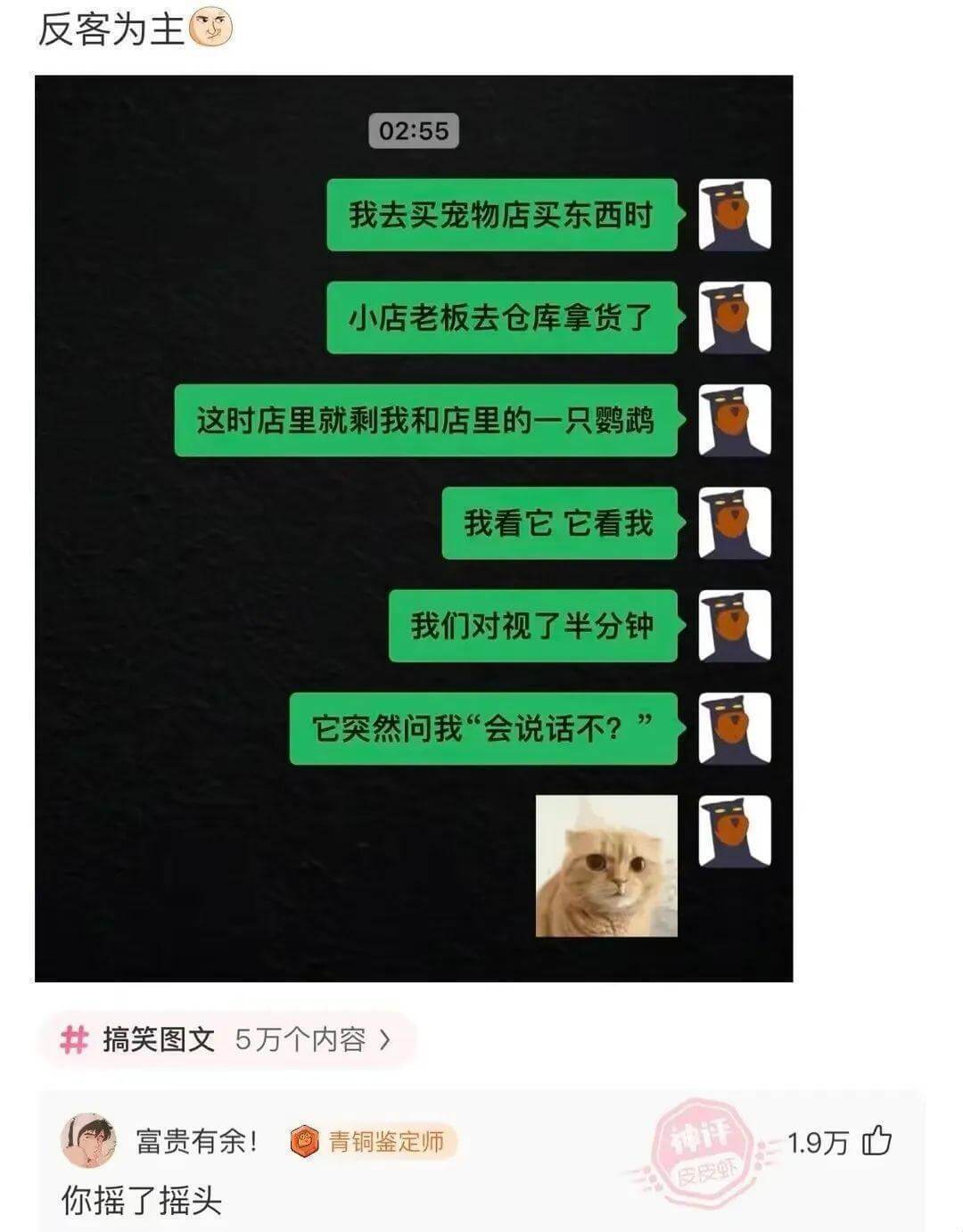 02:55我去买宠物店买东西时，小店老板去仓库拿货了。这时店