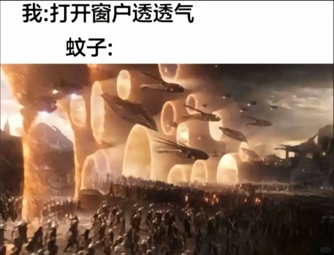 我：打开窗户透透气蚊子：9