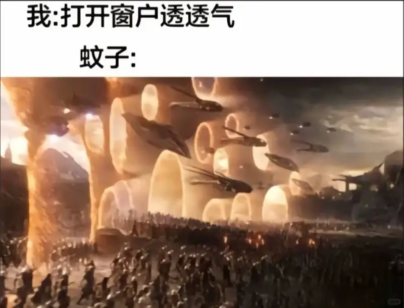 我：打开窗户透透气蚊子：9