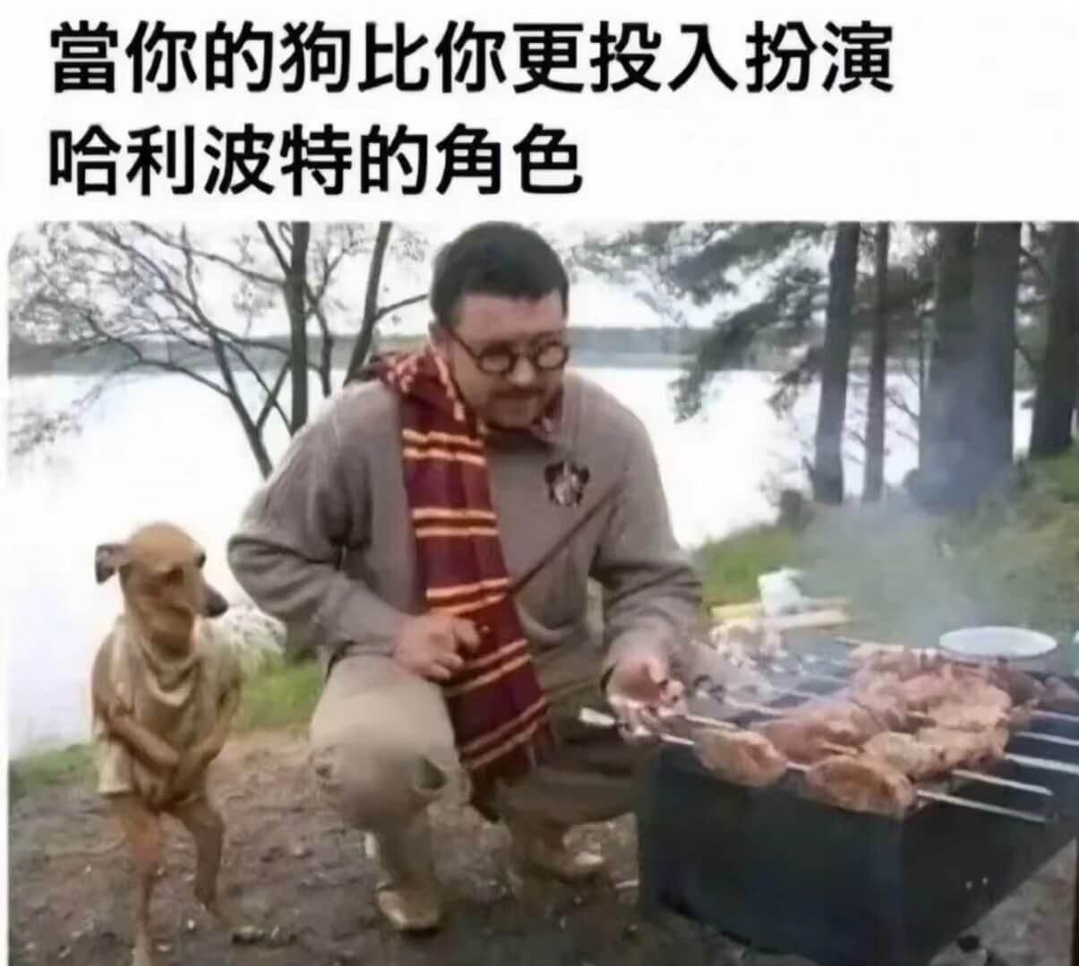 当你的狗比你更投入扮演哈利波特的角色