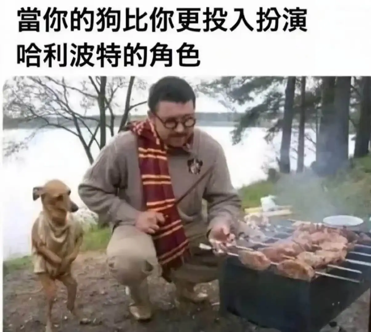 当你的狗比你更投入扮演哈利波特的角色