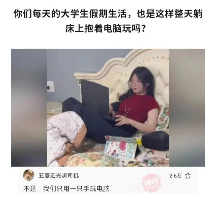 你们每天的大学生假期生活，也是这样整天躺床上抱着电脑玩吗？五