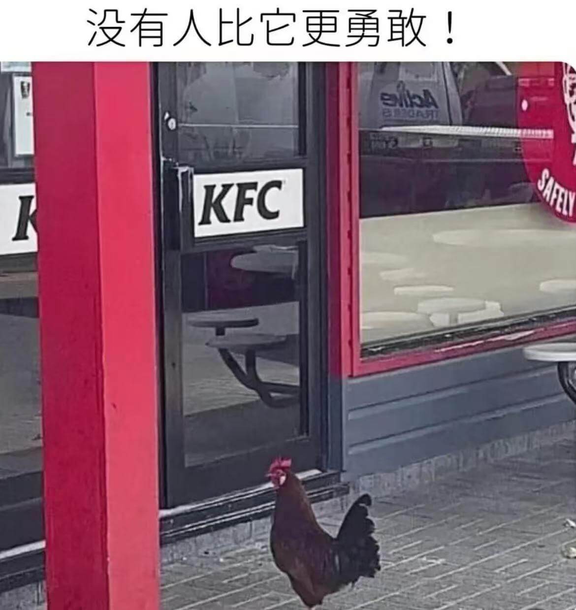 没有人比它更勇敢！KFC