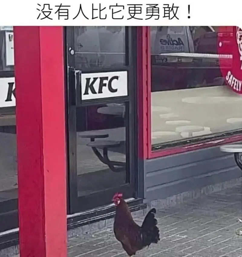 没有人比它更勇敢！KFC
