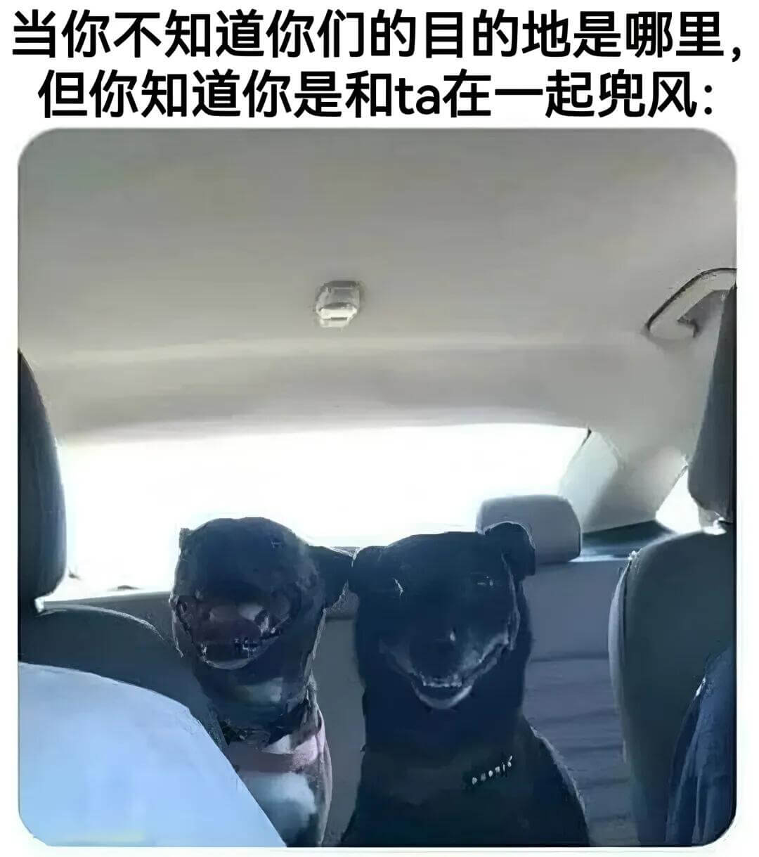 当你不知道你们的目的地是哪里，但你知道你是和ta在一起兜风。