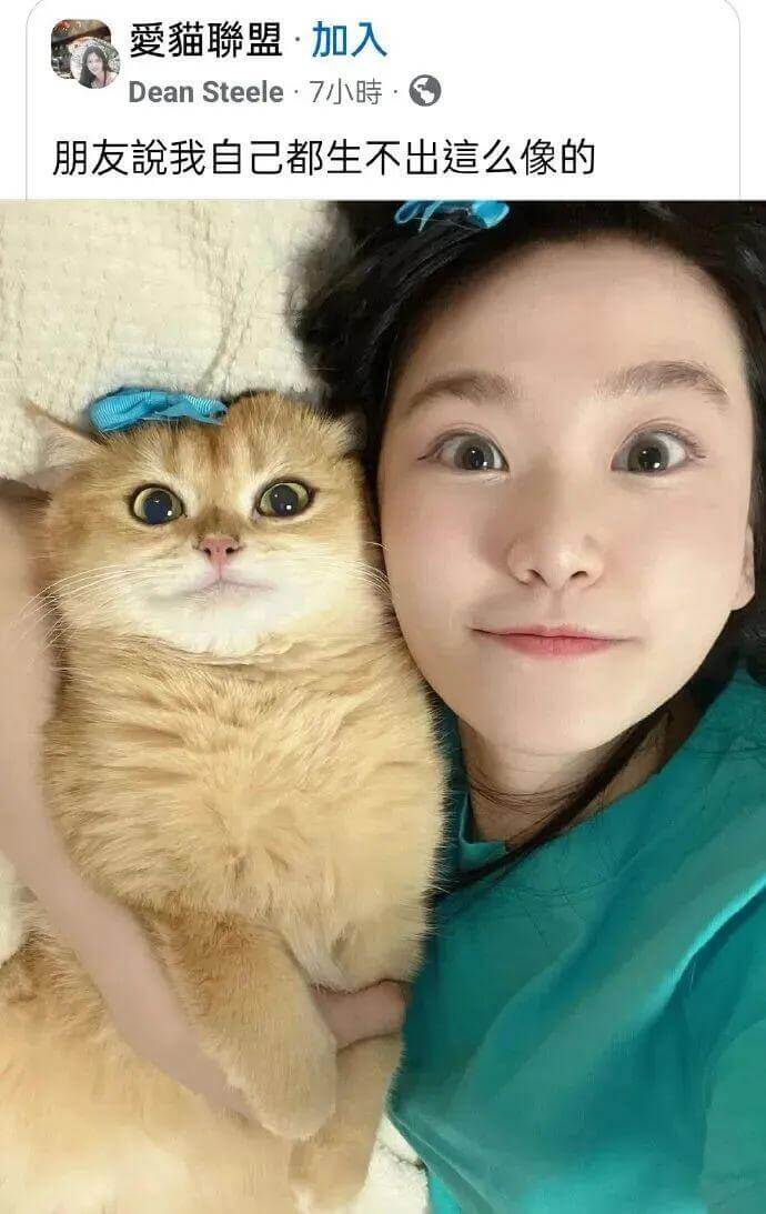 爱猫聊盟·加入DeanSteele·7小时C朋友，我自己都生