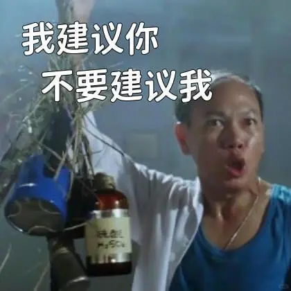 我建议你不要建议我