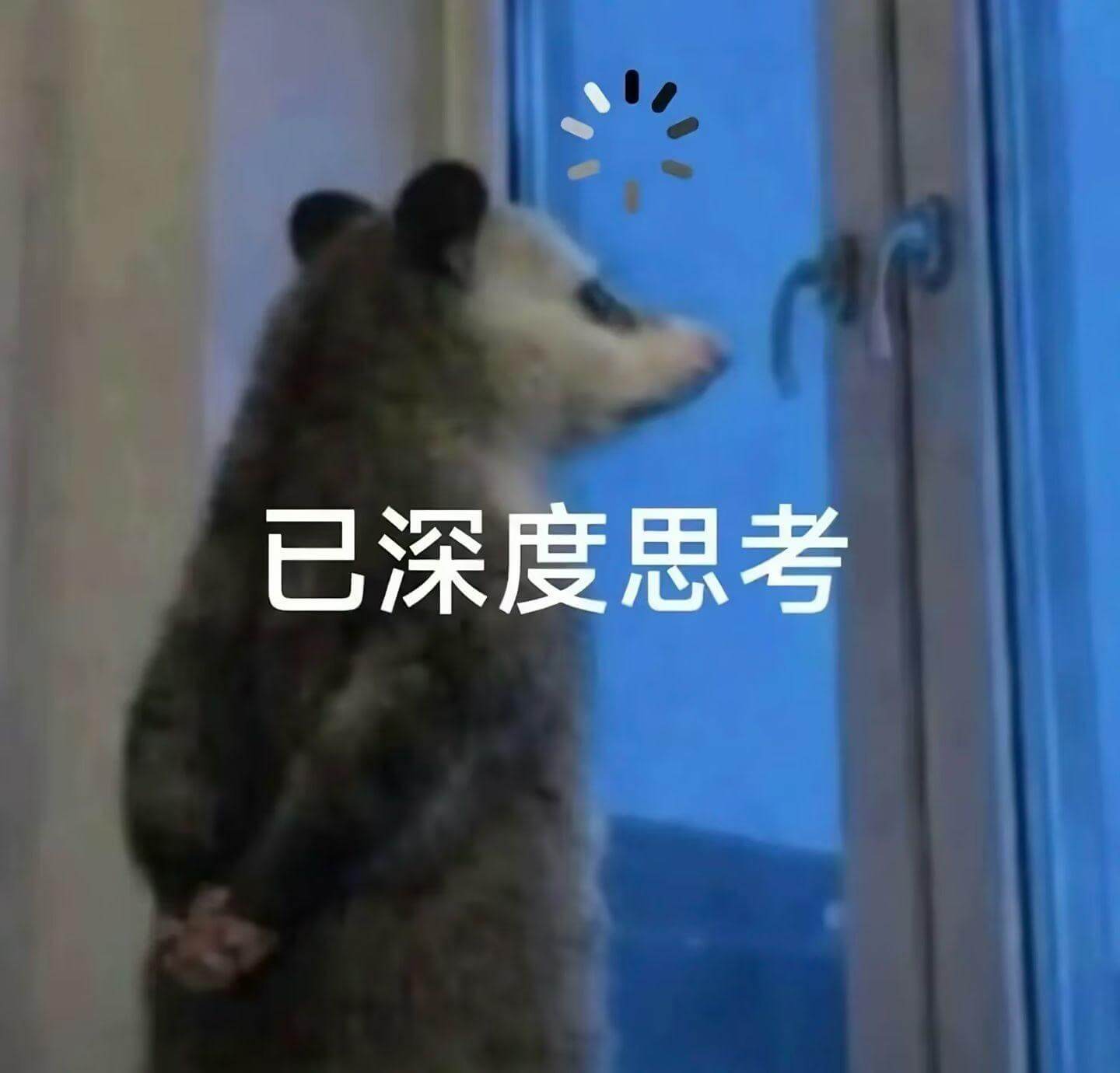 已深度思考