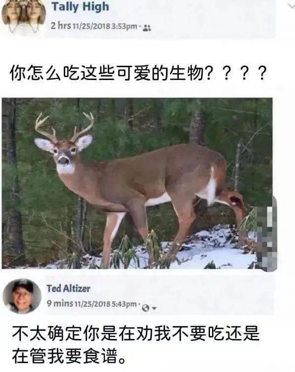 你怎么吃这些可爱的生物????TedAltizer9mins