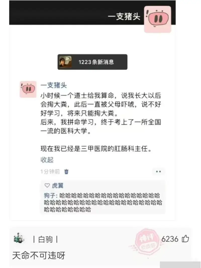 一支猪头1223条新消息一支猪头小时候一个道士给我算命，说我
