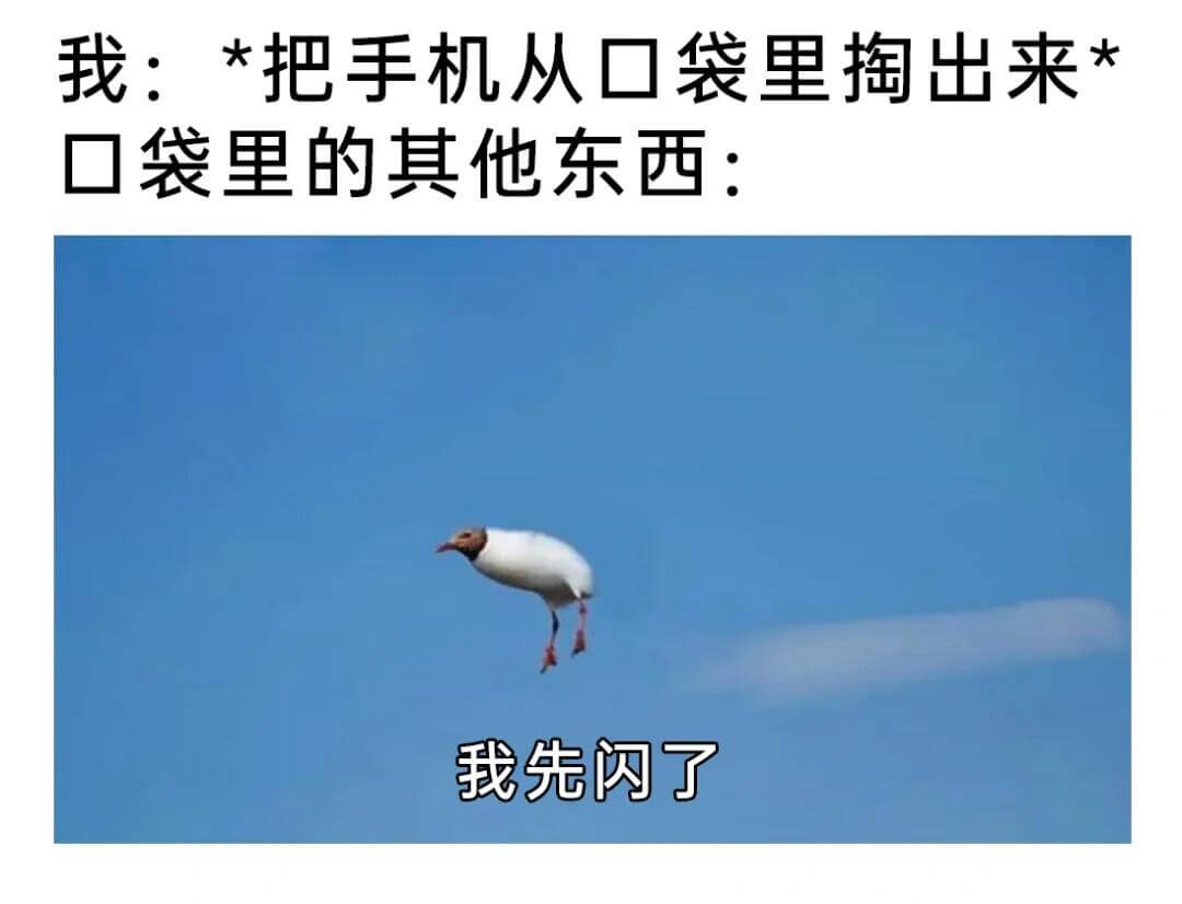 我：*把手机从口袋里掏出来*口袋里的其他东西：我先闪了