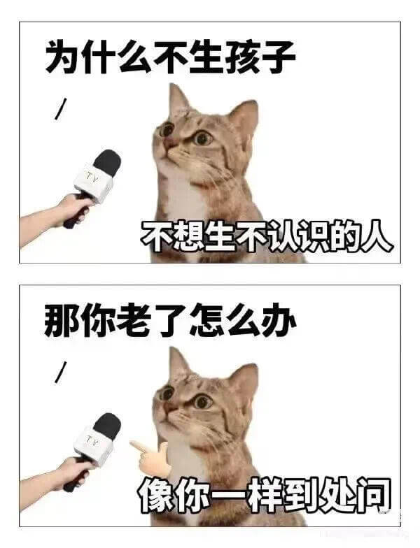 为什么不生孩子？不想生不认识的人。那你老了怎么办？像你一样到