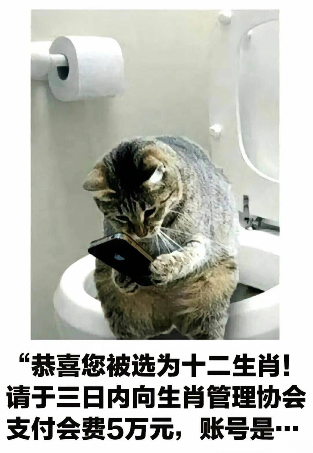 “恭喜您被选为十二生肖！请于三日内向生肖管理协会支付会费5万