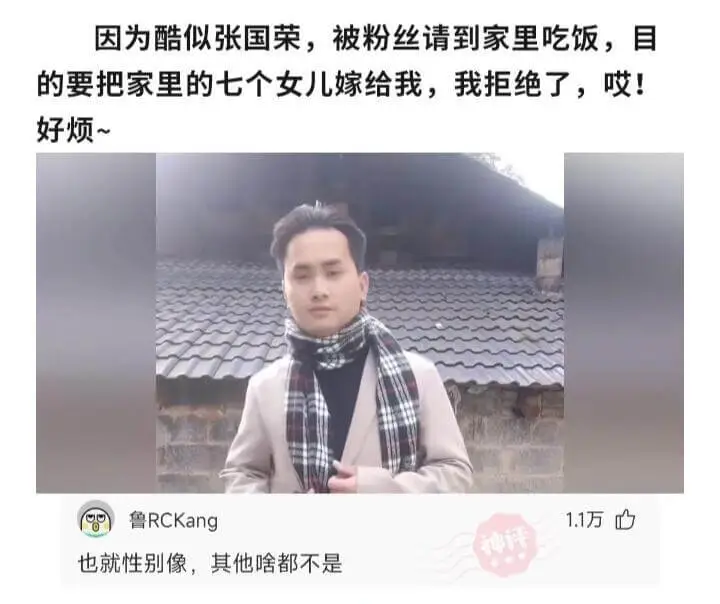因为酷似张国荣，被粉丝请到家里吃饭，目的要把家里的七个女儿嫁