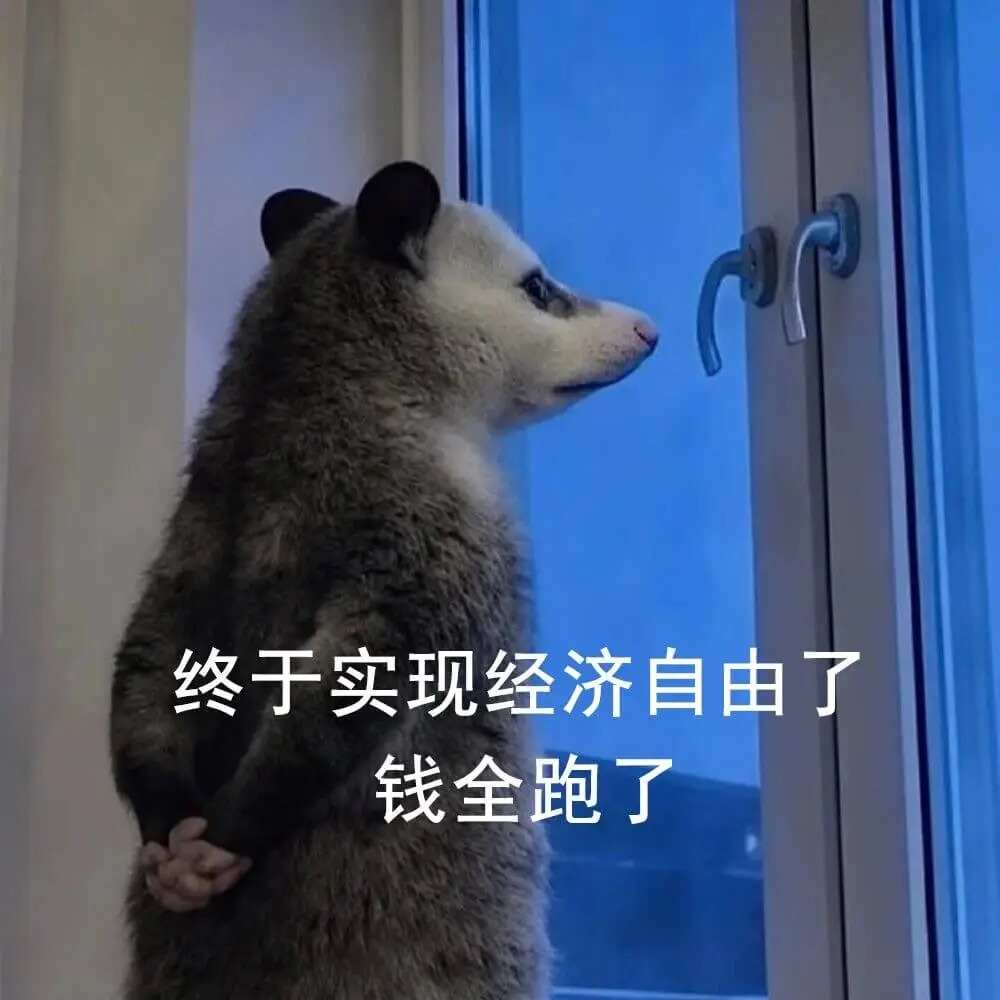 终于实现经济自由了！钱全跑了。