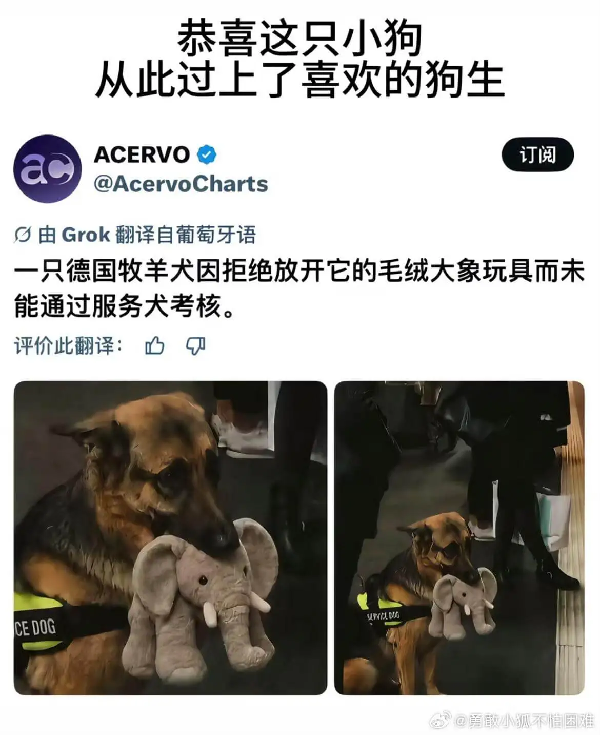 梗图