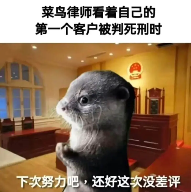 菜鸟律师看着自己的第一个客户被判死刑时下次努力吧，还好这次没
