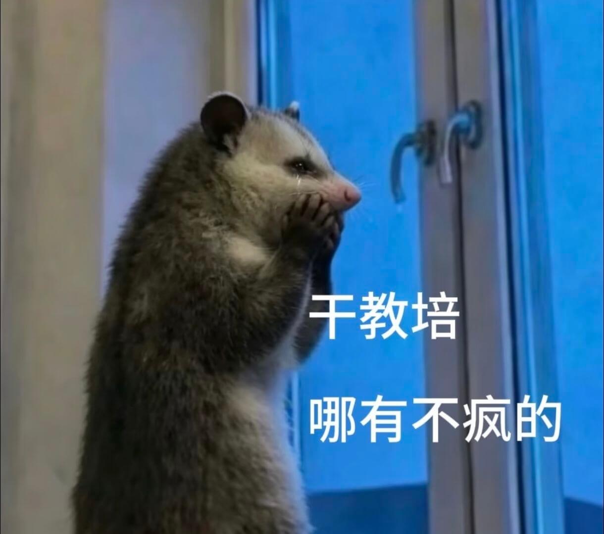 干教培哪有不疯的