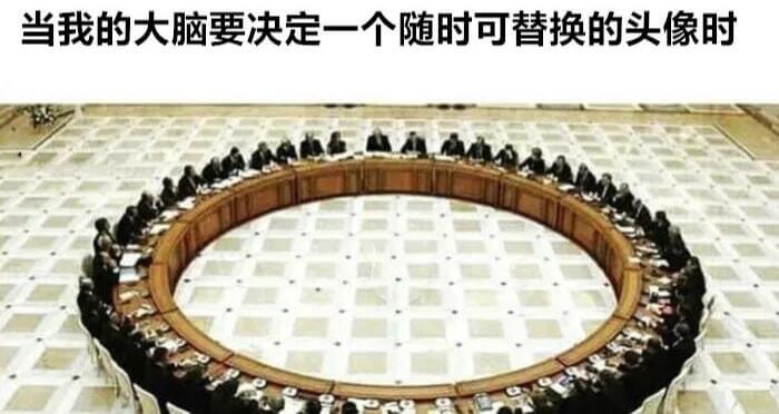 当我的大脑要决定一个随时可替换的头像时