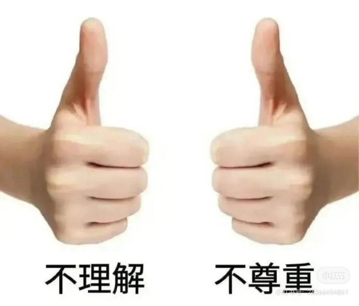 不理解不尊重小红书66454861