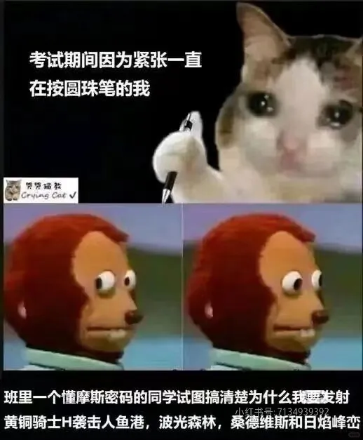考试期间因为紧张一直在按圆珠笔的我哭哭描教CryingCat
