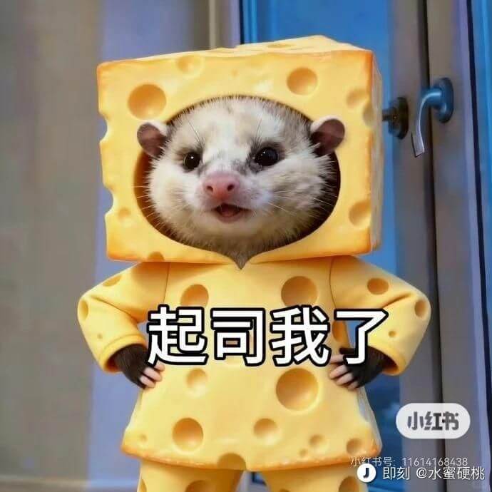 起司我了小红书书号：11614168438即刻@水蜜硬桃